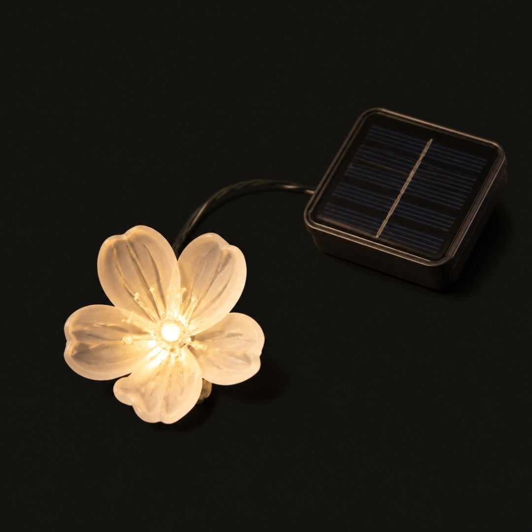 Primer plano de una flor de cerezo encendida
